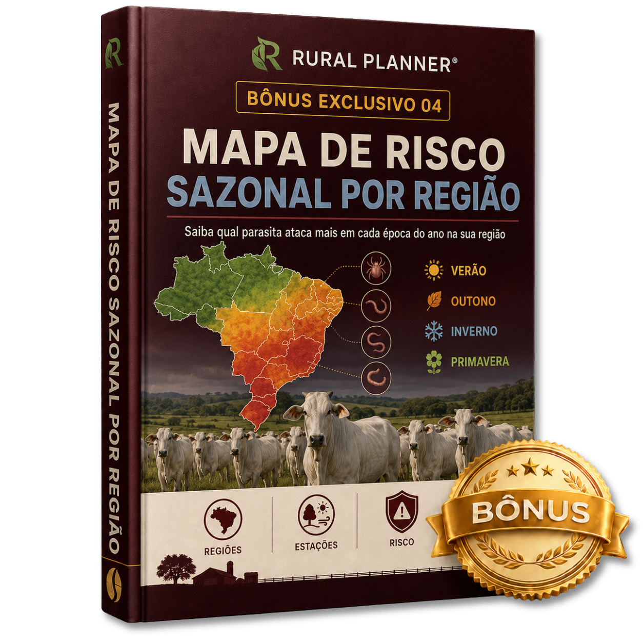 Mapa de Risco Sazonal por Região